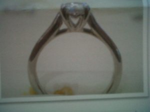 IMG00415-20110318-1746.jpg