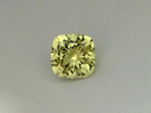 yellowtzcush1a.jpg