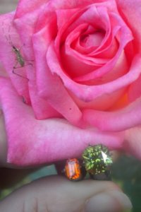 2011-03-30_002.JPG 2011-03-30_002.JPG