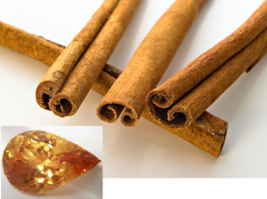 hesso_cinnamon.PNG