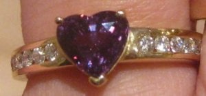 Garnet CC Purple.jpg