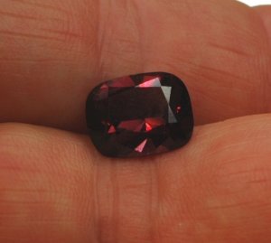Renfrow Garnet3.JPG