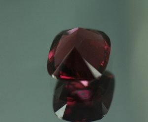 Renfrow Garnet.JPG