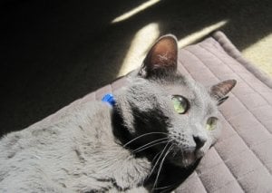IMG_2604.jpg