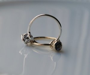 rings3.jpg rings3.jpg