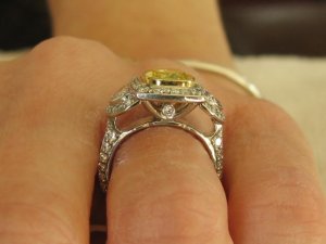 IMG_3681.JPG