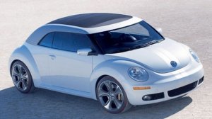 Beetle.jpg