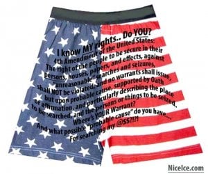 4thAmendmentBoxersNiceIceCom.jpg