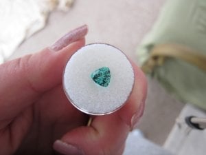 IMG_2394.jpg