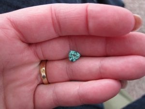IMG_2399.jpg