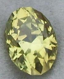 chryso2.JPG