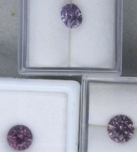 purples2.JPG