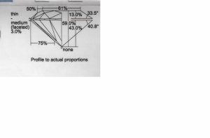 mv_gia_scale.JPG