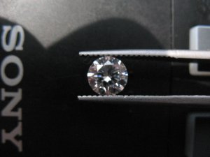 IMG_0556.JPG