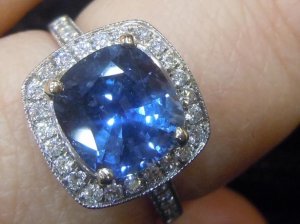 TLbluecushionspinesparkle2.JPG