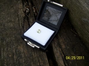 100_30561.jpg