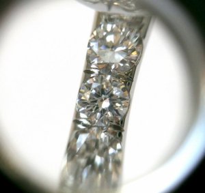 DSCN5166.jpg
