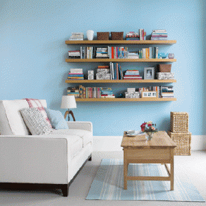 shelves2.gif