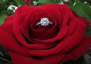 ring 1 copy.jpg