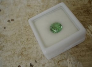 Tourmaline in box light shot.jpg