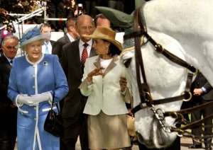 queen-03--a.jpg
