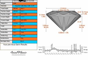 Sarin pre recut 0999.jpg
