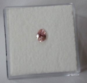 pink.jpg pink.jpg