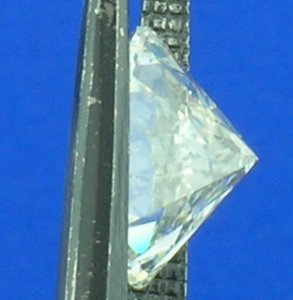 DSCN7341.JPG
