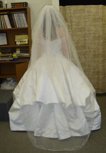ffbackveil.jpg