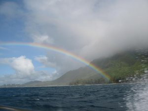 IMG_148456546.JPG