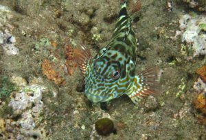 IMG_14377777.JPG