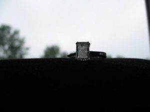 IMG_054307.JPG
