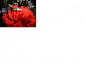 Picture 730.jpg Picture 730.jpg