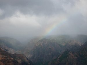 IMG_2312.JPG