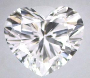 heart_magnified.JPG heart_magnified.JPG