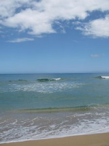 IMG_2161.JPG
