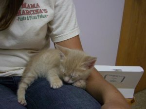 rockyvetvisit.JPG rockyvetvisit.JPG