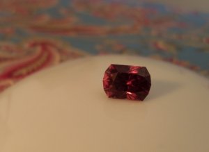 SL383387 (2).jpg