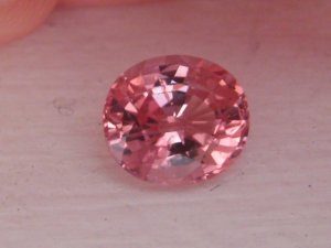 IMG_8681.JPG
