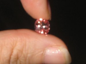 IMG_8729.JPG