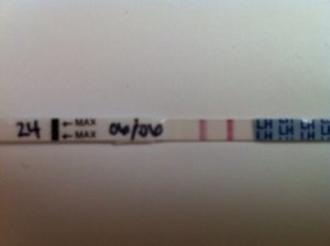 cd24.20110606.JPG