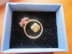 goldchoice 052b.jpg