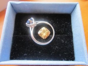 goldchoice 053b.jpg