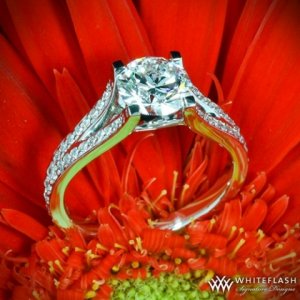 1.166ct F Si1 ACA in Katie Pave flower.jpg 1.166ct F Si1 ACA in Katie Pave flower.jpg