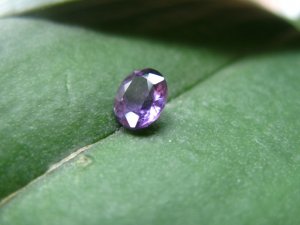 IMG_2385.JPG
