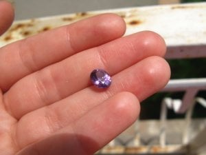IMG_2392.JPG