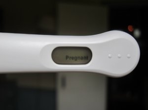 Pregnant1.jpg