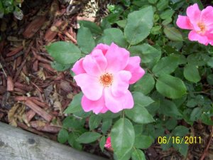 100_3295.jpg