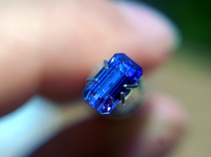 tanzircon 013.png