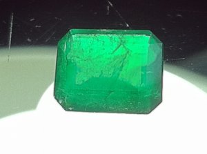 IMG_0196.jpg